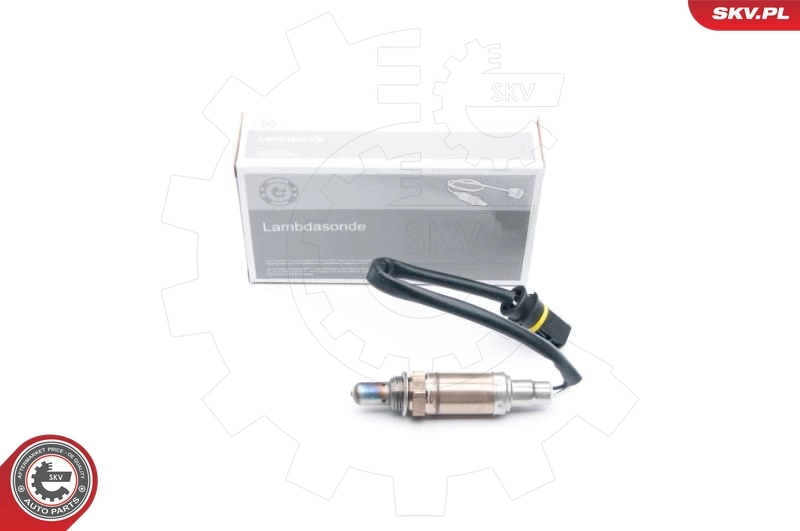 Oxygen Sensor
